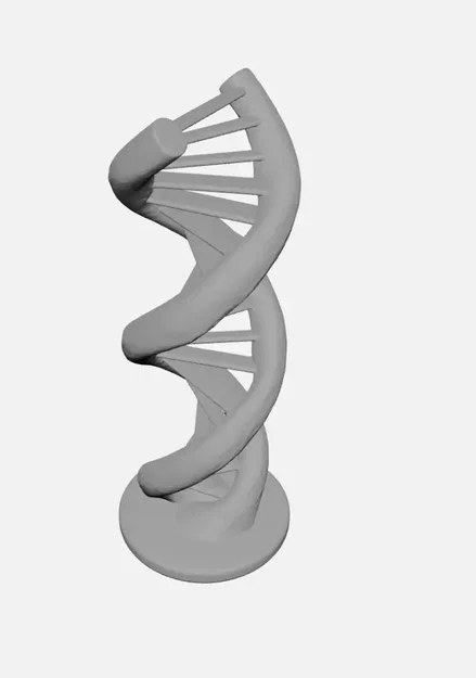 Mô hình cấu trúc xoắn kép DNA (DNA Double Helix) - Image 4