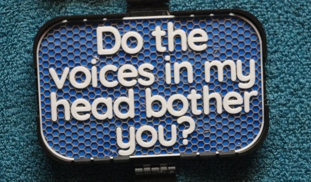 Bảng hiệu: Mấy giọng nói trong đầu có làm phiền bạn không? - Image 1