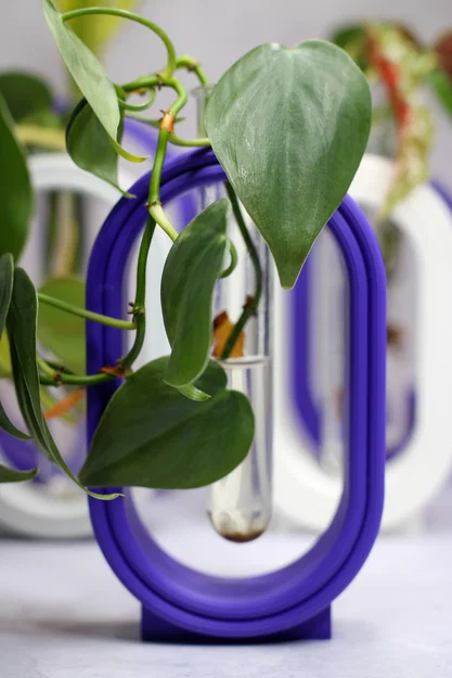 Giá đỡ cây nhân giống kiểu dáng hiện đại - Image 3