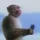 m0nkey5_4610524