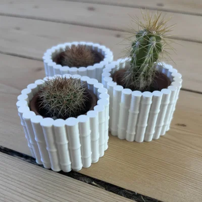 Chậu cây họa tiết tre trang trí in 3D đẹp mắt
