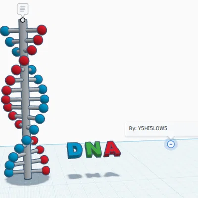 Mô hình cấu trúc xoắn kép DNA trang trí bàn học cực đẹp