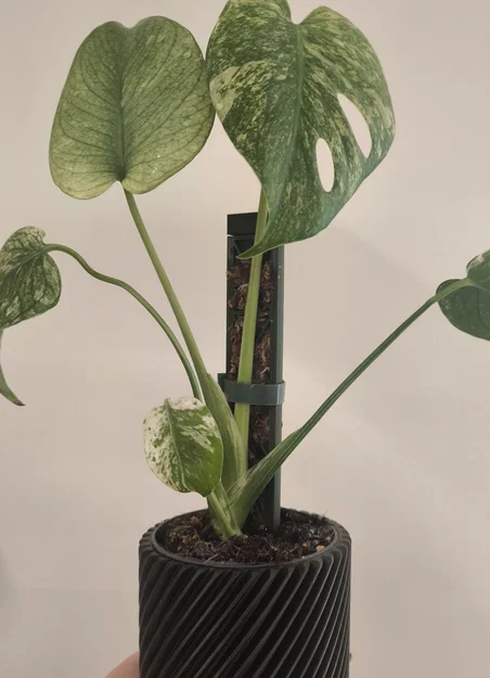 Cọc hỗ trợ cây leo Moos Stab lắp ghép thông minh cho chậu cây - Image 1