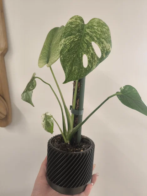 Cọc hỗ trợ cây leo Moos Stab lắp ghép thông minh cho chậu cây - Image 2