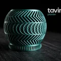 tavira • chậu cây decor tối giản - Thumbnail 1