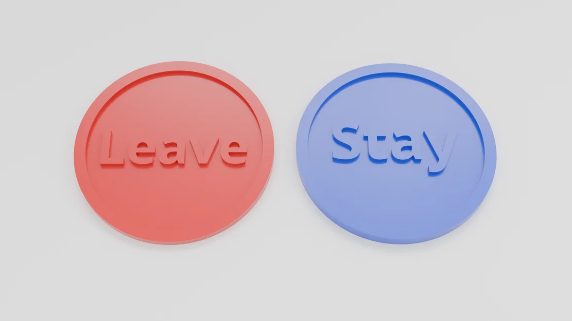 Đồng xu quyết định (Stay/Leave) - Mô hình in 3D nhỏ gọn, thú vị - Image 1