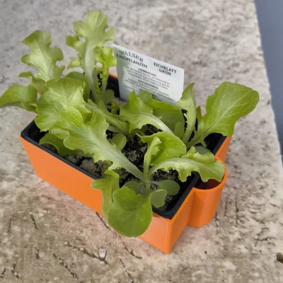 Khay ươm cây giống (Plant Tray) - Phụ kiện 3D hữu ích cho khu vườn