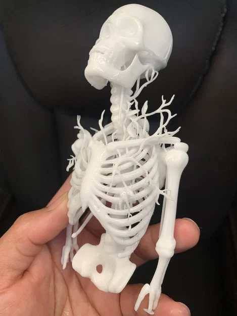 Từ Bức Tranh Đóng Khung đến Mô Hình 3D - Image 3