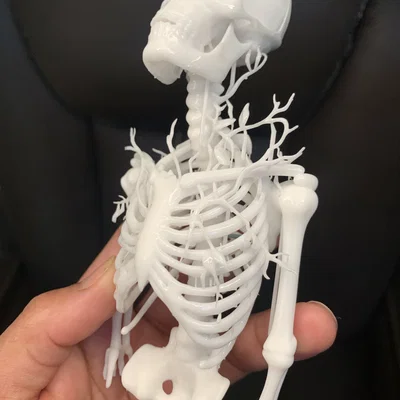 Từ Bức Tranh Đóng Khung đến Mô Hình 3D