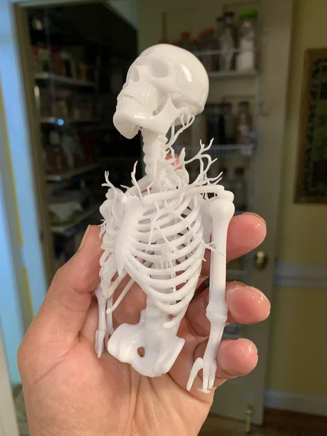 Từ Bức Tranh Đóng Khung đến Mô Hình 3D - Image 5