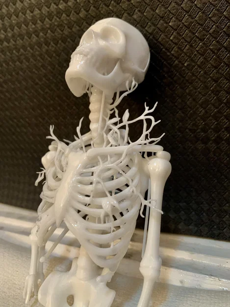 Từ Bức Tranh Đóng Khung đến Mô Hình 3D - Image 6