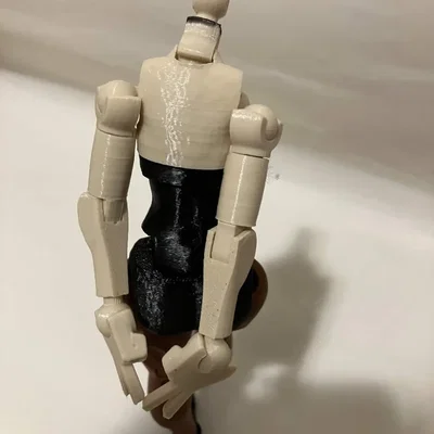 Bộ kit thân Bunny Girl cho Carbon 13