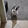 EricMelonzon_341717