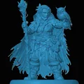 Mô hình Dwarven Druid - Thumbnail 1