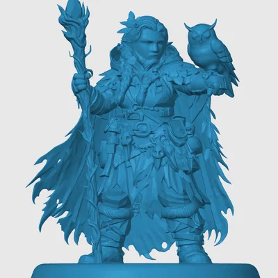 Mô hình Dwarven Druid