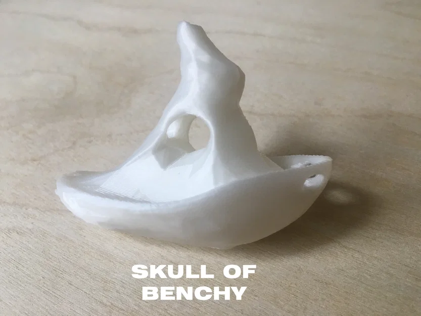 Bộ sưu tập (17) Cursed Benchies - Những chiếc Benchy bị nguyền rủa - Image 3
