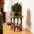 Kệ Đặt Chậu Cây Brasilia | Thiết Kế Mid-Century Modern Phong Cách Broyhill - Thumbnail 1