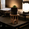 Kệ Đặt Chậu Cây Brasilia | Thiết Kế Mid-Century Modern Phong Cách Broyhill - Thumbnail 7