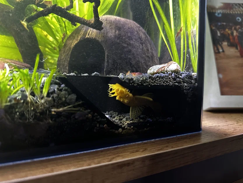 Hang trú ẩn ngắm cá cho hồ thủy sinh - Image 4