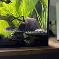 Hang trú ẩn ngắm cá cho hồ thủy sinh - Thumbnail 5