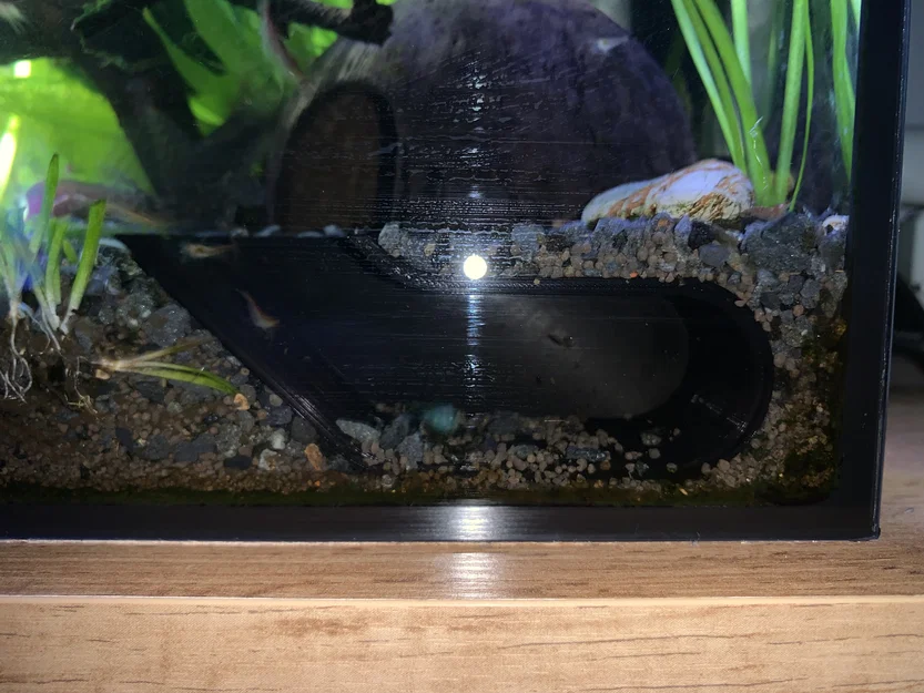 Hang trú ẩn ngắm cá cho hồ thủy sinh - Image 6