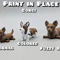 Mô hình Corgi khớp nối (Articulated Corgi) - Thumbnail 1