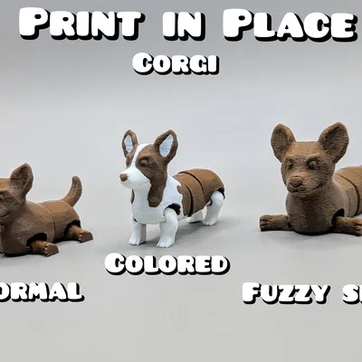 Mô hình Corgi khớp nối (Articulated Corgi)