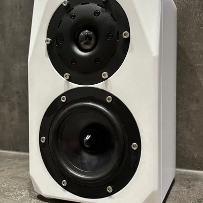 Loa HiFi 2 Đường Tiếng In 3D Crystals / Thùng Loa Tự Chế