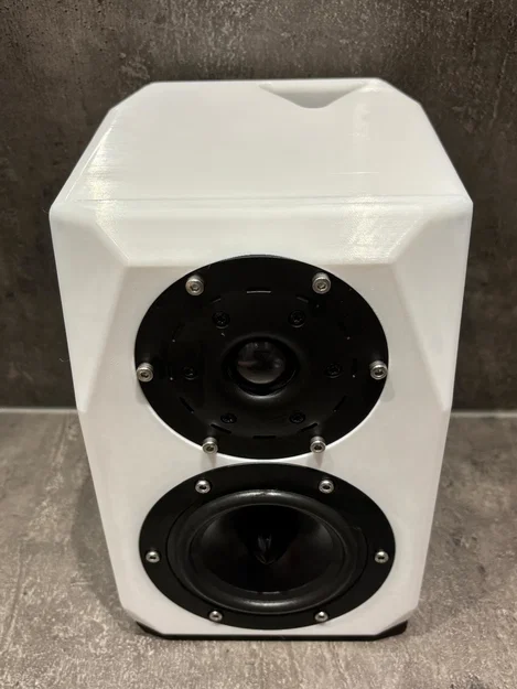 Loa HiFi 2 Đường Tiếng In 3D Crystals / Thùng Loa Tự Chế - Image 4