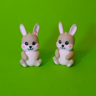 Bộ sưu tập những chú thỏ đáng yêu