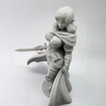 Mô hình Nữ Chiến Binh Tộc Elf - Thumbnail 2