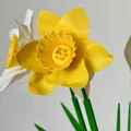Bó hoa thủy tiên ngày Lễ Phục sinh in 3D - Thumbnail 6