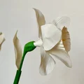 Bó hoa thủy tiên ngày Lễ Phục sinh in 3D - Thumbnail 12