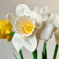 Bó hoa thủy tiên ngày Lễ Phục sinh in 3D - Thumbnail 13