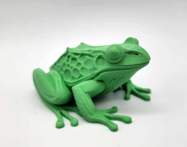 Mô hình ếch Realistic Frog chân thực - Image 1