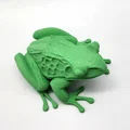 Mô hình ếch Realistic Frog chân thực - Thumbnail 2