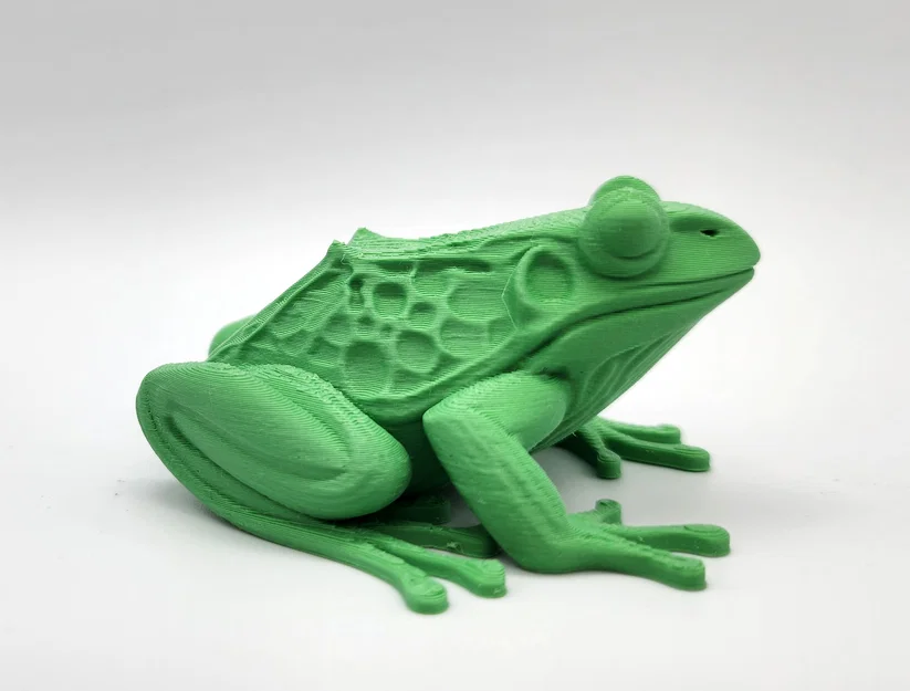Mô hình ếch Realistic Frog chân thực - Image 3