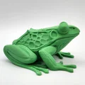 Mô hình ếch Realistic Frog chân thực - Thumbnail 3