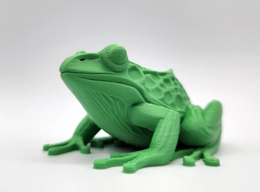 Mô hình ếch Realistic Frog chân thực - Image 4