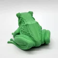 Mô hình ếch Realistic Frog chân thực - Thumbnail 5
