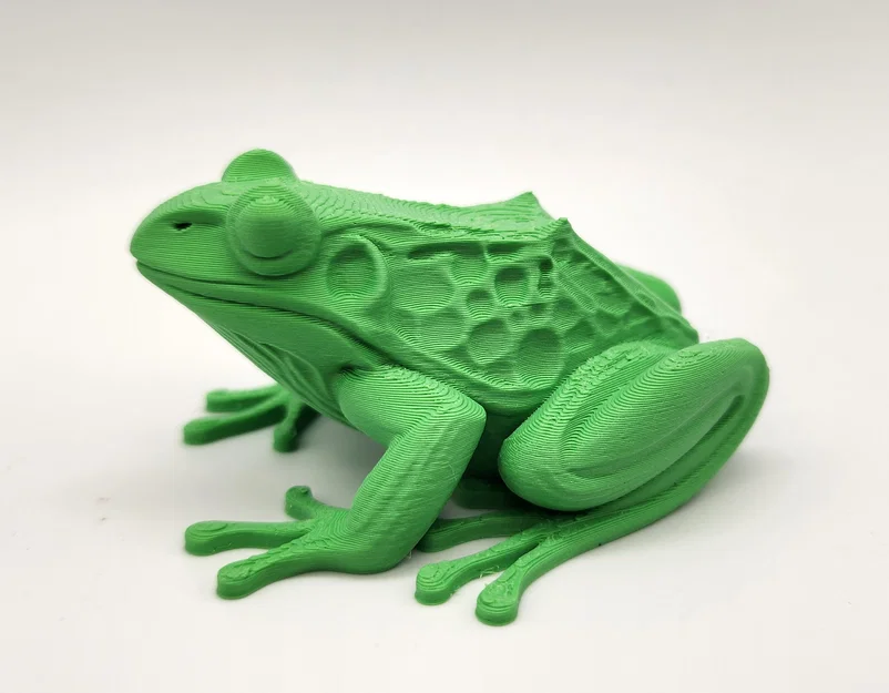 Mô hình ếch Realistic Frog chân thực - Image 6