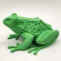 Mô hình ếch Realistic Frog chân thực - Thumbnail 6