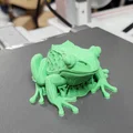 Mô hình ếch Realistic Frog chân thực - Thumbnail 8