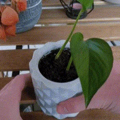 Chậu cây Karo Cascade với khay hứng nước ẩn (In không cần support)