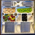 Khay đựng / Organizer cho board game Earth - Hỗ trợ cả các bản mở rộng Kickstarter - Thumbnail 7