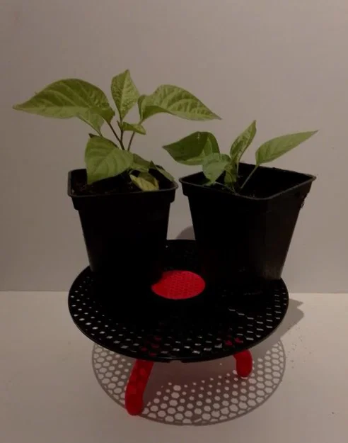 Bàn nhỏ trang trí từ cuộn nhựa cũ (Spool Table) - Image 1