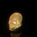 Ống cắm bút hình đầu lâu pha lê (Crystal Skull) - Thumbnail 8