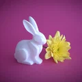 Tượng Thỏ Phong Cách Hiện Đại (Modern Bunny Figurine) - Thumbnail 4