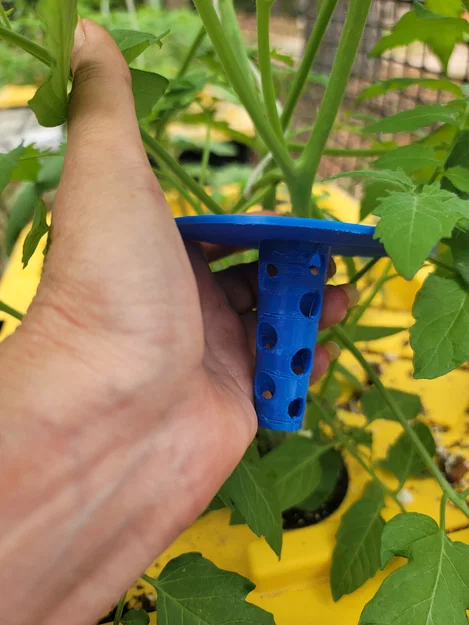 Giá đỡ nhân giống và hỗ trợ cây cà chua thủy canh - Image 1