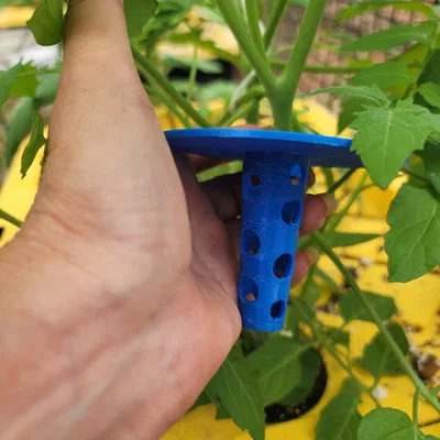 Giá đỡ nhân giống và hỗ trợ cây cà chua thủy canh